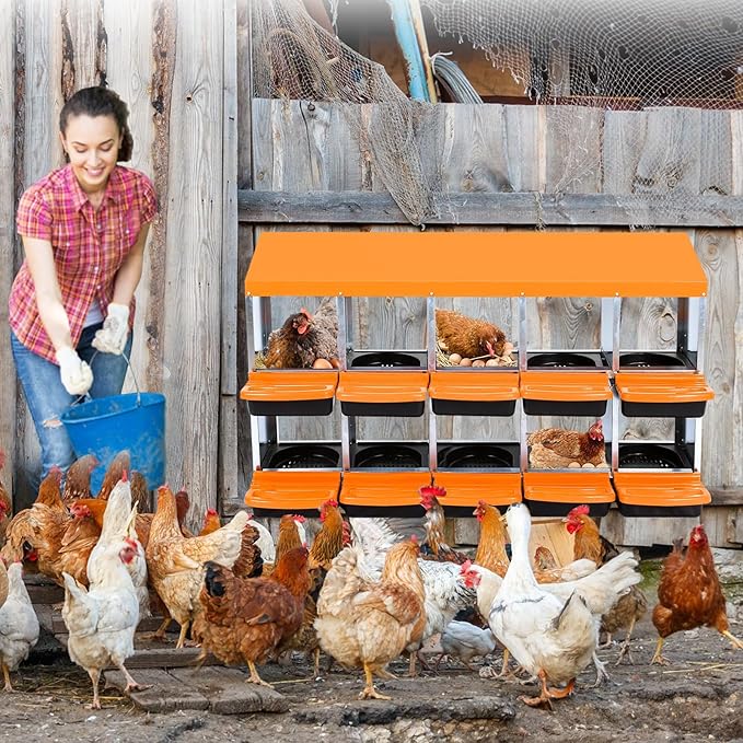 Chicken Nesting Box, 10 Hole 2 Layer Hen Nest Boxes, Roll Away Eggs Laying Boxes,Cleanable Pull Out Hen Roosting Boxes