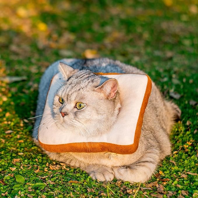 Amakunft Adjustable Cat Recovery Collar - Soft Cone for Post-Surgery Care, Kitten & Adult Cat (Toast, M)