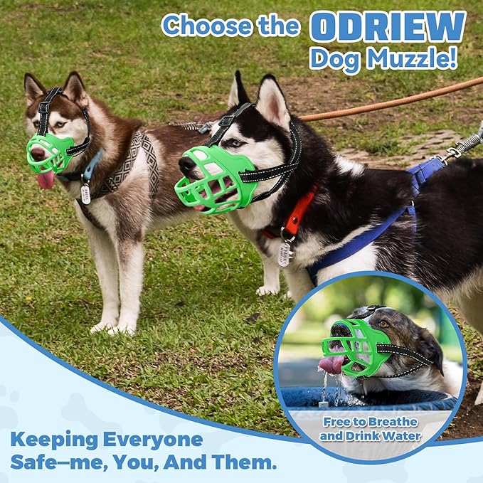 Dog Muzzle for Large Dogs, Breathable Basket Muzzles for Small, Medium and X-Large Aggressive Dog, Allows Panting Drinking, Suitable for Grooming Trimming Training (6, Luminous Green)