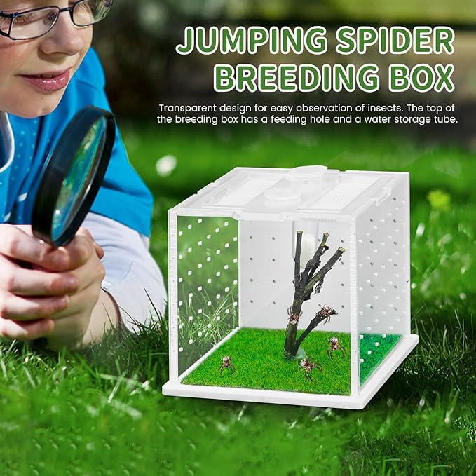 Acrylic Jumping Spider Enclosure, 2.95×2.95×2.87in Transparent Reptile Terrarium, Versatile Tarantula Enclosure for Small Reptiles/Insects, Small Reptile Tank with Dropper, Jumping Spider Accessories