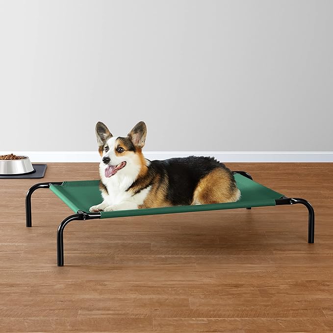 Amazon Basics Cooling Breathable Elevated Dog Bed with Metal Frame for Medium Dogs, 43 x 26 x 7.5 Inch, Green