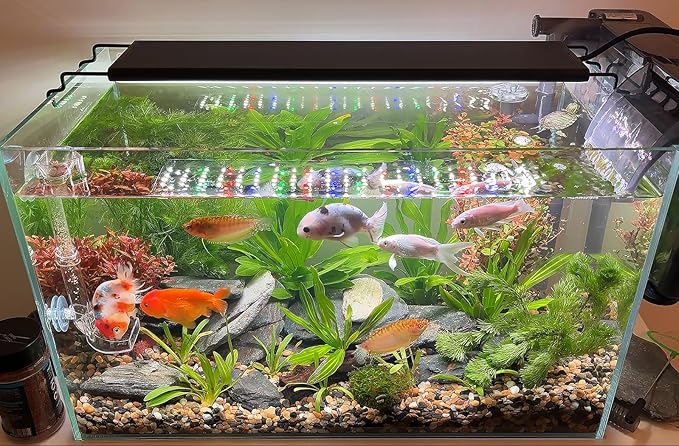 Advanced 7-Row LED Aquarium Light, Easy Setup Controller, Auto On Off Full Spectrum Fish Tank Light, 24/7 Lighting Cycle, 8 Colors, 10 Level Dimming, 32W for 24"-30" Freshwater Planted Tank