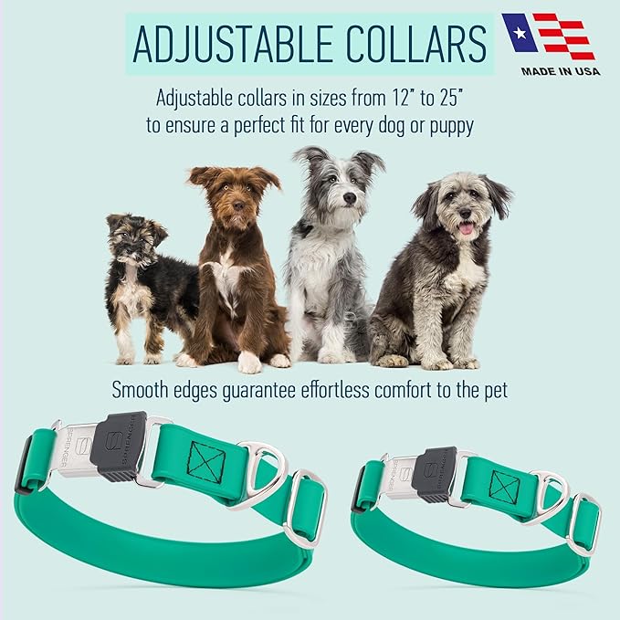 Dogline Biothane Waterproof Dog Collar with Herm Sprenger Black Stainless Steel Quick Release Buckle – Heavy Duty Tactical Durable Collar for Dogs – Comfortable and Safe Pet Collar W 1" L 15-25" Teal