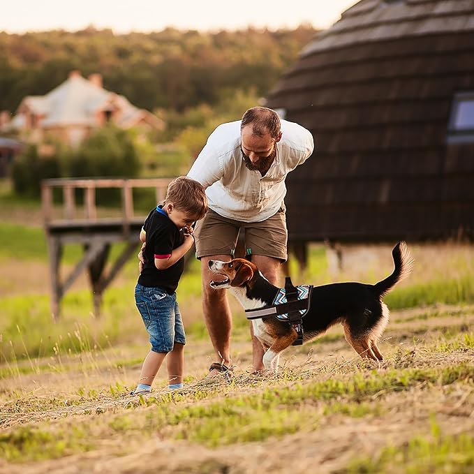 Dogline Dog Harness, Reflective No-Pull Adjustable Vest with Handle for Walking, Training, Breathable, No - Choke Harness for Small, Medium or Large Dogs Room for Patches Aztec Design 2 L 27"-34"