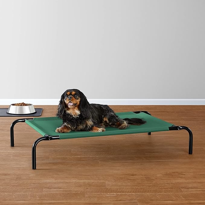 Amazon Basics Cooling Breathable Elevated Dog Bed with Metal Frame for Small Dogs, 36 x 22 x 7.5 Inch, Green