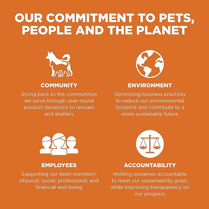 Go! Solutions Skin + Coat Care, Grain-Free Dry Cat Food, Salmon Recipe, 3 lb Bag