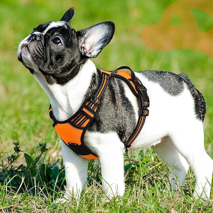 Eagloo Dog Harness Small Sized Dog, No Pull Service Vest with Reflective Strips and Control Handle, Adjustable and Comfortable for Easy Walking, No Choke Pet Harness with 2 Metal Rings, Orange, S