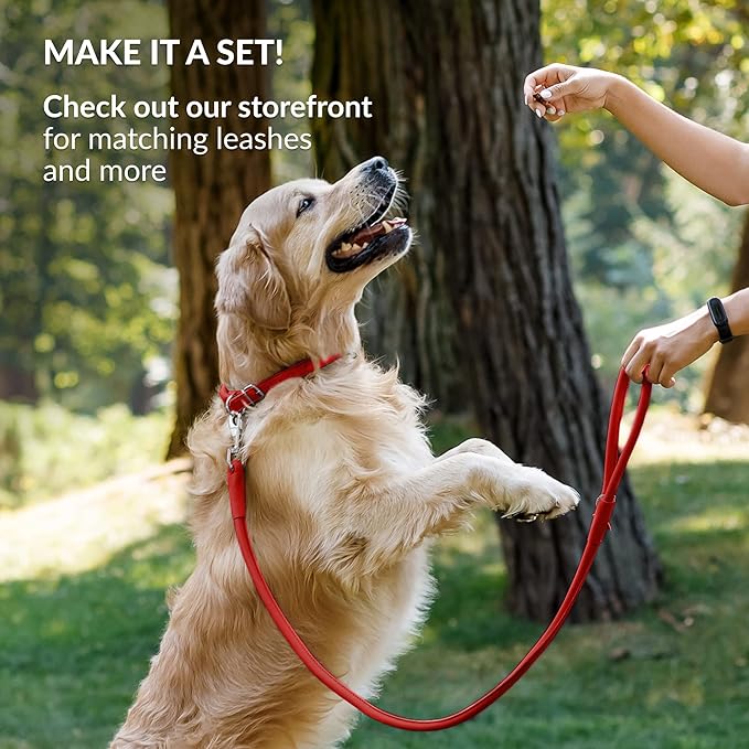 CollarDirect Rolled Leather Dog Collar, Soft Padded Round Puppy Collar, Handmade Genuine Leather Collar Dog Small Large Cat Collars 13 Colors (13-16 Inch, Red Smooth)