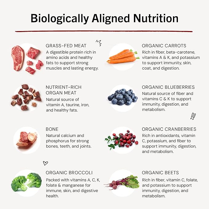 Stella & Chewy's Freeze-Dried Raw Dinner Patties - Remarkable Red Meat Blend - High Protein Grain-Free Puppy & Dog Food - Perfect For Picky Eaters - 14 oz