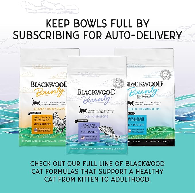 Blackwood Bounty Dry Cat Food, Cod & Carp Recipe for All Life Stages, 2 Pound Bag, High Protein, Grain Free