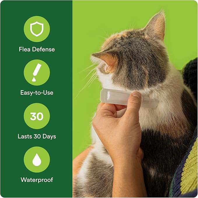 Plus Flea Prevention for Cats, Cat and Kitten Treatment & Control, Small and Large, Fast Acting Waterproof Topical Drops, 2 Month Supply