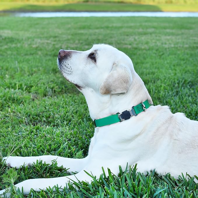 Dogline Biothane Waterproof Dog Collar with Herm Sprenger Stainless Steel Quick Release Buckle – Heavy Duty Tactical Durable Collar for Dogs – Comfortable and Safe Pet Collar, W 3/4" L 12-19", Teal