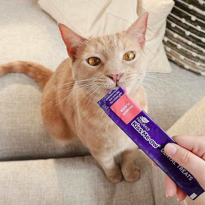 Ark Naturals, Kiss Me-Ow Lickable Salmon, 2 oz