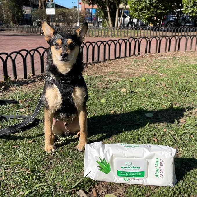 Best Pet Supplies Pet Wipes for Dogs - Dog Wipes Cleaning Deodorizing, for Coats, Ears, Paws - Hydrating, Aloe Vera, 400 Count.