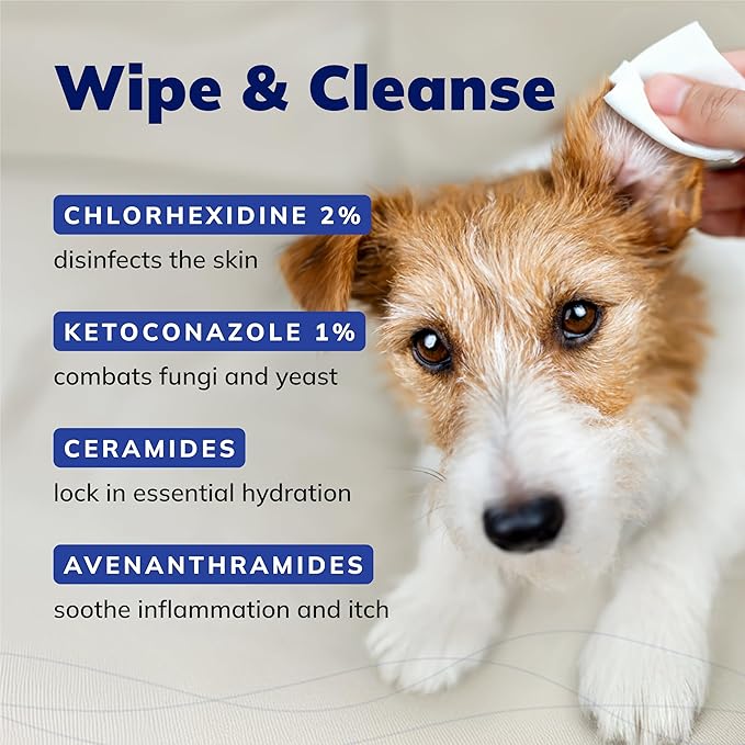 CeraSoothe CHX+KET Antiseptic Wipes Formulated for Dogs, Cats, & Horses โ Chlorhexidine & Ketoconazole Medicated Pet Wipes โ Antibacterial & Antifungal Skin Care for Pets โ 30 Count