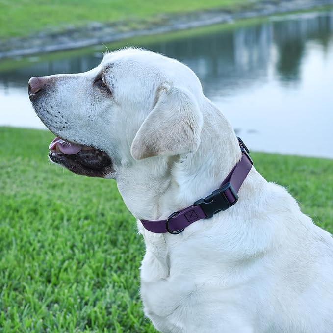 Dogline Biothane Waterproof Dog Collar with Quick Release Buckle Strong Coated Nylon Webbing with Odor- Proof for Easy Care Easy to Clean Fits Small Medium Large Dogs, Purple 3/4" W 12-19" L