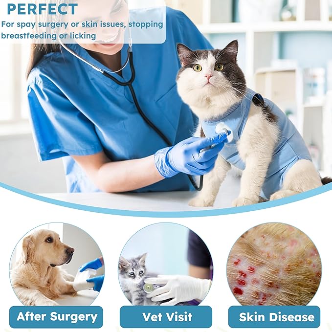Cat Recovery Suit, Kitten Surgical Bodysuit for Abdominal Wound Anti Licking After Surgery, Pet Surgical Recovery Snugly Suit Cat Spay Recovery Suit Female for Small Male Female Cats Blue L