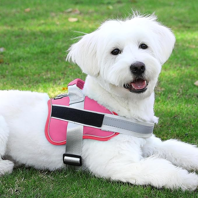 Bolux Dog Harness, No-Pull Reflective Dog Vest, Breathable Adjustable Pet Harness with Handle for Outdoor Walking - No More Pulling, Tugging or Choking (Fuchsia, XX-Large (Pack of 1))