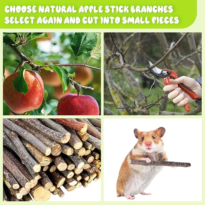 600g Small Apple Sticks Animals Molar Wood Treats Toys for Rabbits Chinchillas Guinea Pig Hamster Gerbil Parrot Bunny Chew Stick Toys Treats, 21.2 OZ