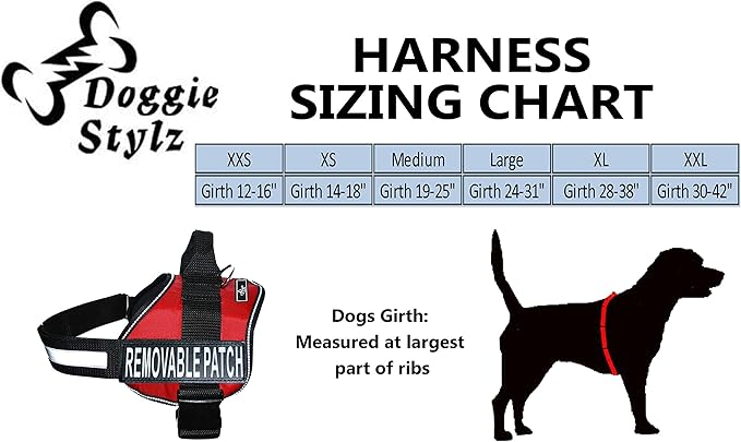 Doggie Stylz Blind Dog Vest Harness with Removable Patches and Reflective Trim. Comes with 2 Blind Dog Reflective Hook and Loop Patches. Measure Dogs Girth Before Purchase (Girth 24”-31" Red)