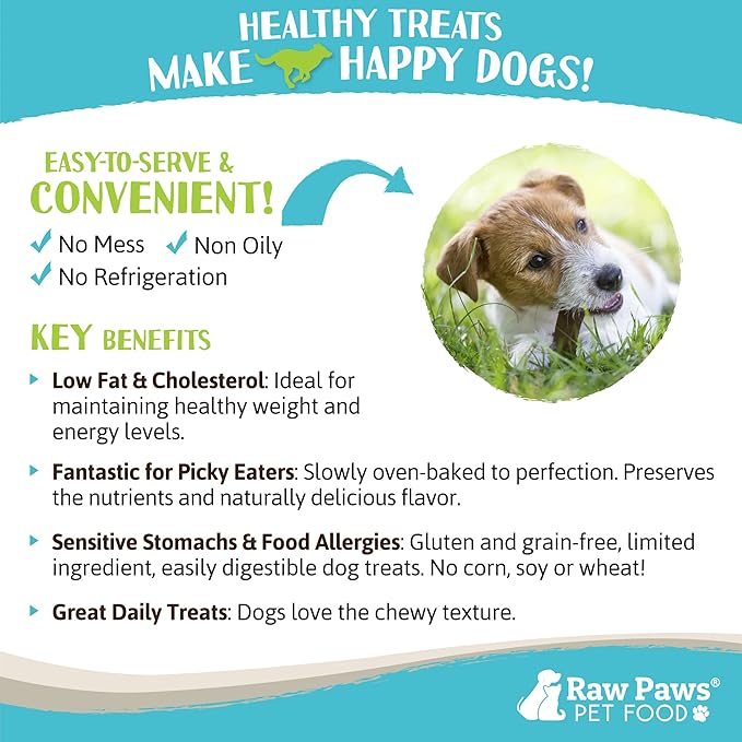 Raw Paws Wild-Caught Venison Dog Treats, 6-oz - Packed in USA - Real Meat Jerky - Single Ingredient Venison for Dogs