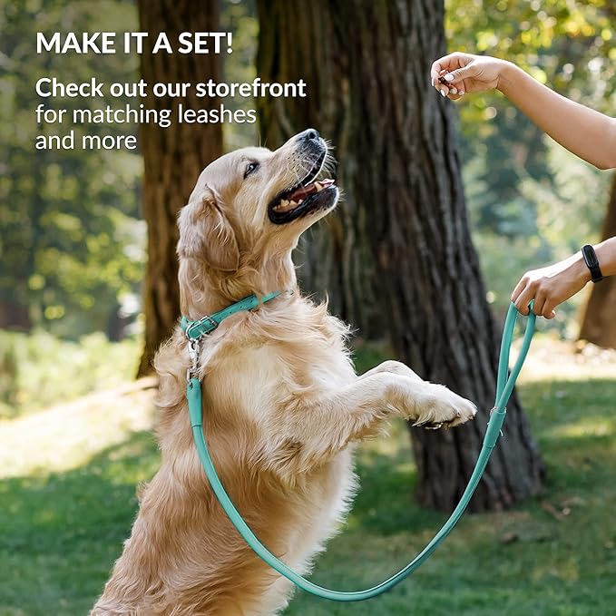 CollarDirect Rolled Leather Dog Collar, Soft Padded Round Puppy Collar, Handmade Genuine Leather Collar Dog Small Large Cat Collars 13 Colors (8-11 Inch, Mint Green Smooth)