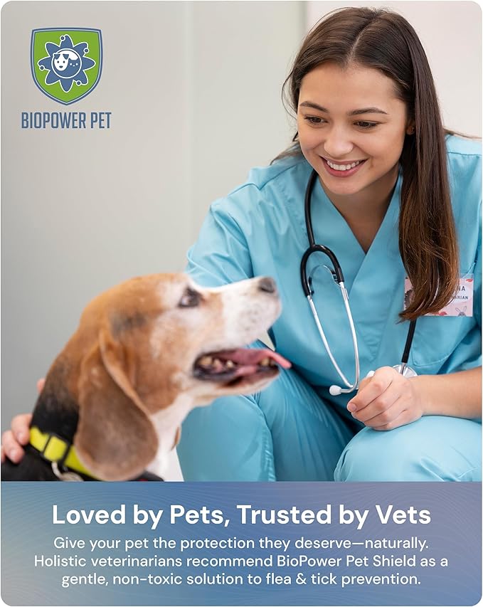 Natural Flea & Tick Repellent Collar Tag for Dogs & Cats – BioPower Pet Shield – Safe for Pets When Used as Directed – Lasts 1 Full Year Small, Regular Size Tag Bundle (2 Pack)