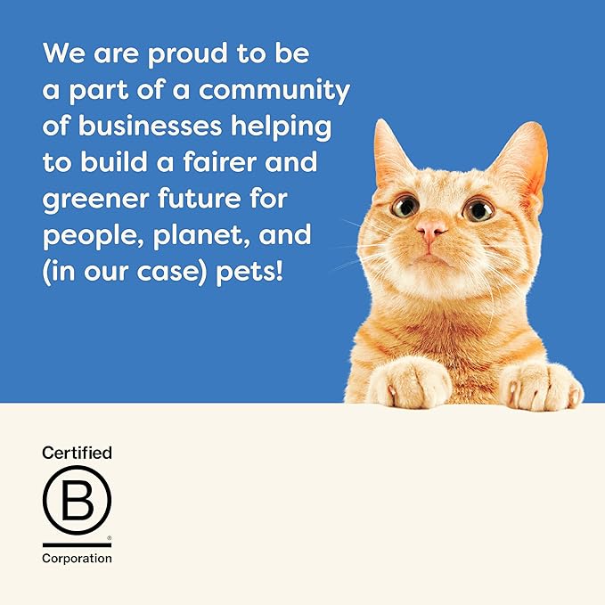 Applaws Natural Wet Cat Food, 24 Count, Limited Ingredient Canned Wet Cat Food, Tuna Fillet in Broth, 5.5oz Cans