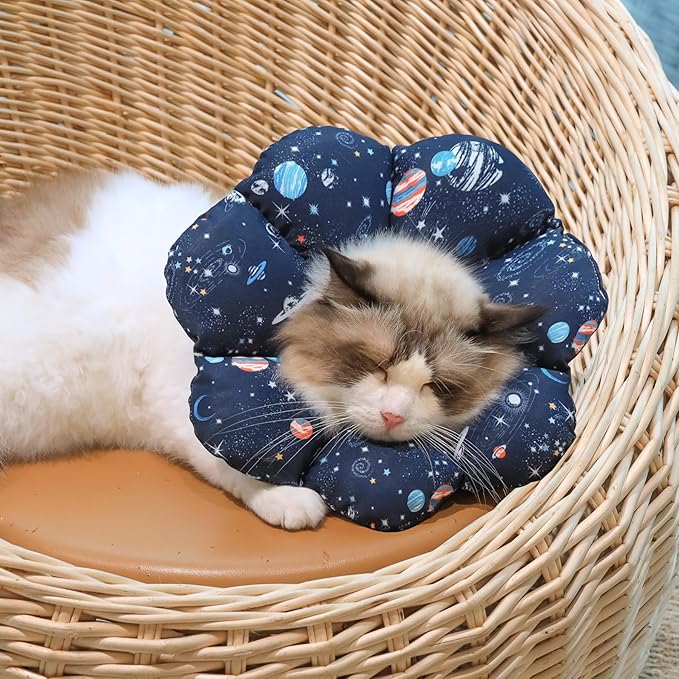 ComSaf Soft, Protective Adjustable Cat Cone Collar to Stop Licking After Surgery, Comfortable Lightweight Elizabethan Collar for Large Cat and Small Dog, Dog Recovery Collar Prevents Licking Wounds