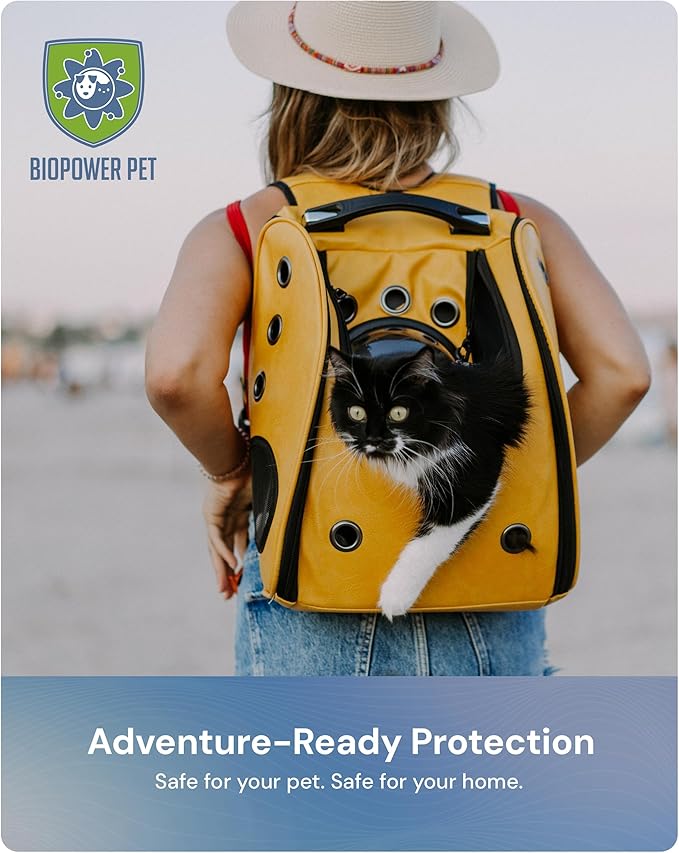 Natural Flea & Tick Repellent Collar Tag for Dogs & Cats – BioPower Pet Shield – Safe for Pets When Used as Directed – Lasts 1 Full Year Small, Regular Size Tag Bundle (2 Pack)