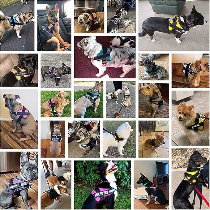 Bolux Dog Harness, No-Pull Reflective Dog Vest, Breathable Adjustable Pet Harness with Handle for Outdoor Walking - No More Pulling, Tugging or Choking Medium (Pack of 1) RoseTurquoise