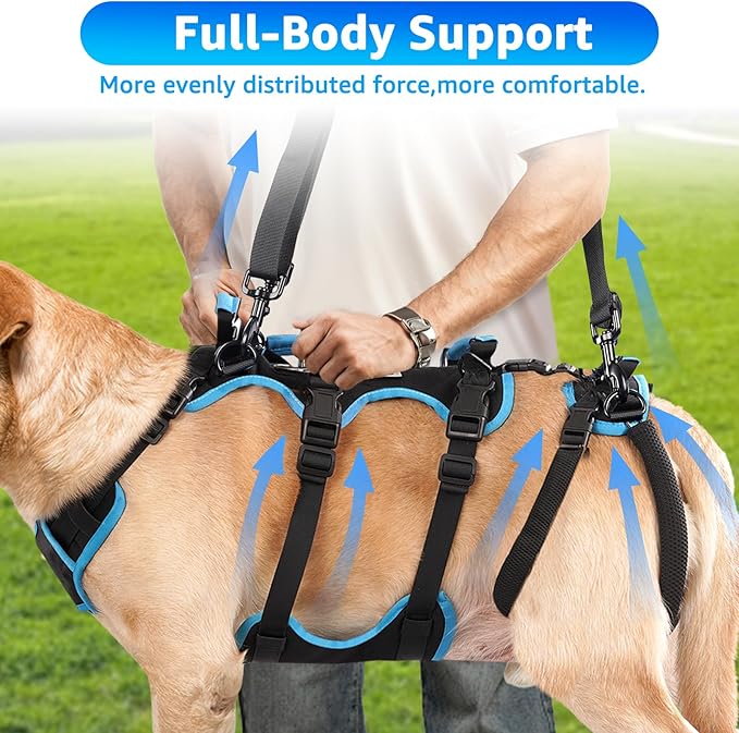 Dog Lift Harness for Large Male Dogs, 2-in-1 Detachable Support Harness, Full Body Carrying with 4 Handles, Dog Sling for Large Dogs Hind Leg Support(Black, X-Large)