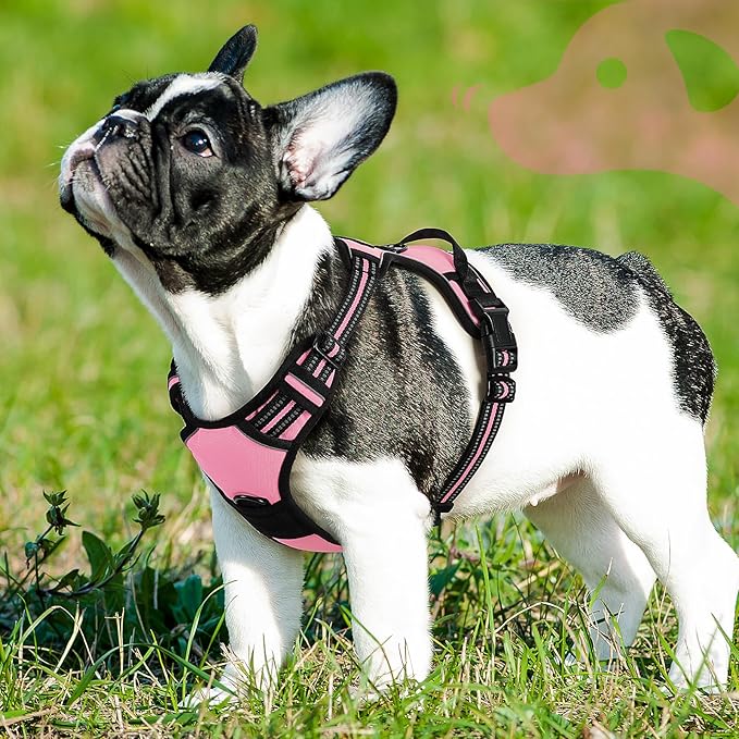 Eagloo Dog Harness Small Sized Dog, No Pull Service Vest with Reflective Strips and Control Handle, Adjustable and Comfortable for Easy Walking, No Choke Pet Harness with 2 Metal Rings, Pink, S