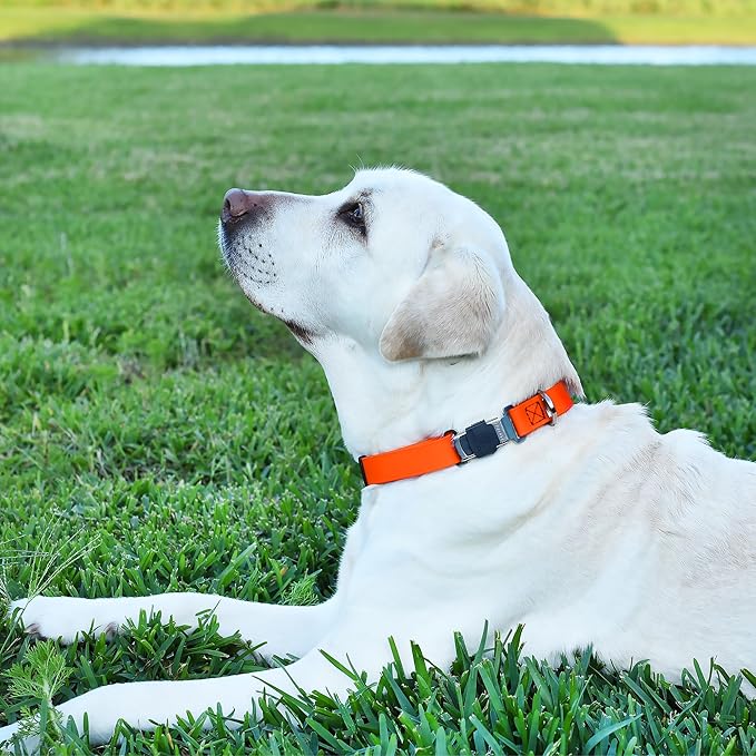 Dogline Biothane Waterproof Dog Collar with Herm Sprenger Stainless Steel Quick Release Buckle – Heavy Duty Tactical Durable Collar for Dogs – Comfortable and Safe Pet Collar, W 3/4" L 12-19", Orange