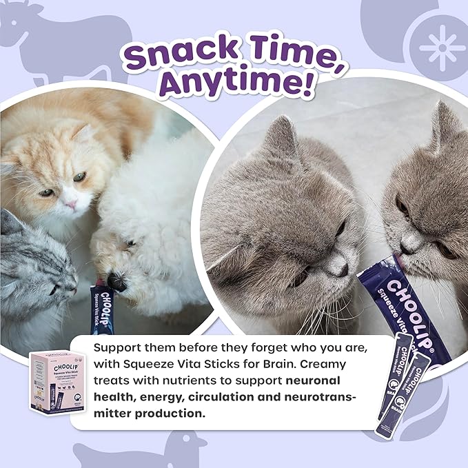 Grab & Go Squeeze Vita Stick Lickable Treats for Dogs & Cats. 49 Brain Support Sticks with Essential multivitamins. Soft and Tasty Paste for All Life Stages, Supporting Brain Health