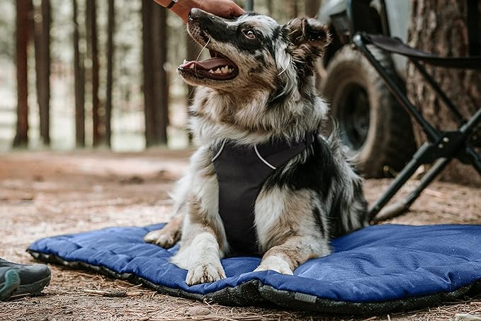 K9 Ballistics Tough Ripstop Dog Crate Pad - Durable & Machine Washable with Non-Skid Bottom and 120-Day Warranty, Fits 36" Wire Crates - Medium Obsidian Black