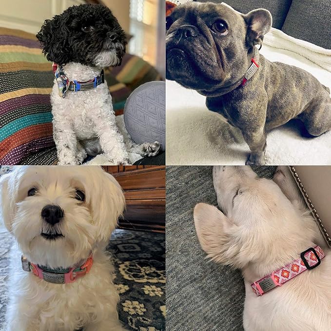 Personalized and Custom Dog Tag for Pets - No Noise - Engraved Name Tag - Slide On ID Tags and Collar Tags for Small, Medium, Large Dogs and Cats - Silent Customized