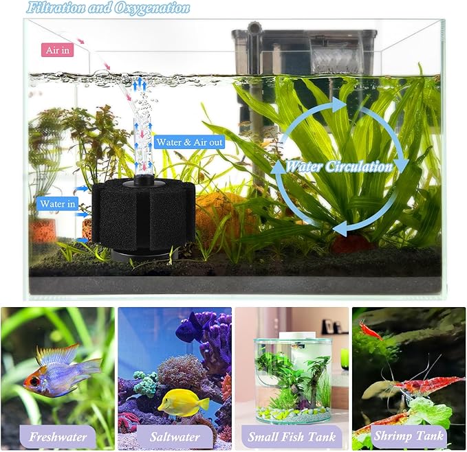 FEDOUR Aquarium Sponge Filter, Ultra Quiet Aeration Bio Sponge Filters for Breeding Fry Shrimp Betta Fish Tank, Efficient Submersible Aquarium Filter for up to 100Gallon Tank (M for up to 50gallon)