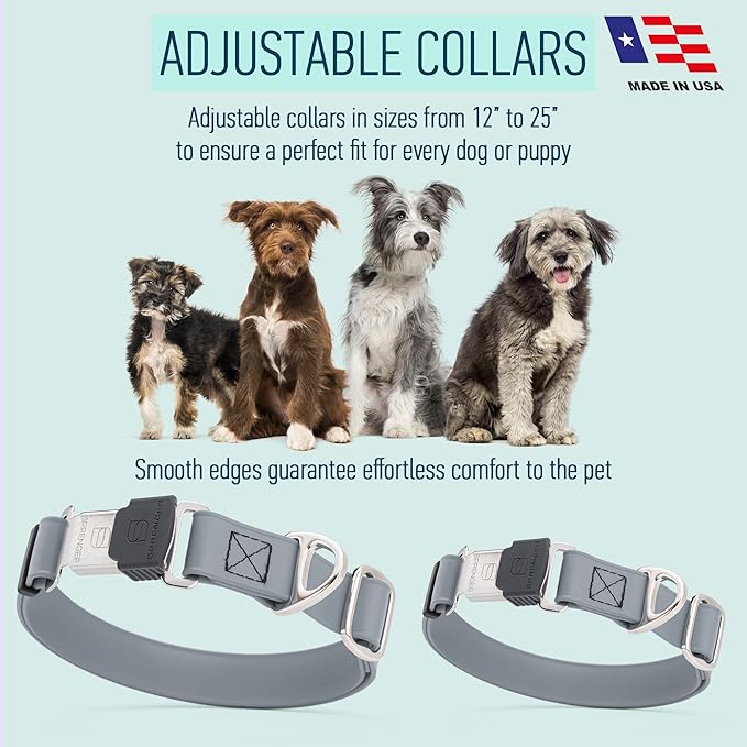 Dogline Biothane Waterproof Dog Collar with Herm Sprenger Stainless Steel Quick Release Buckle – Heavy Duty Tactical Durable Collar for Dogs – Comfortable and Safe Pet Collar, W 1" L 15-25", Gray
