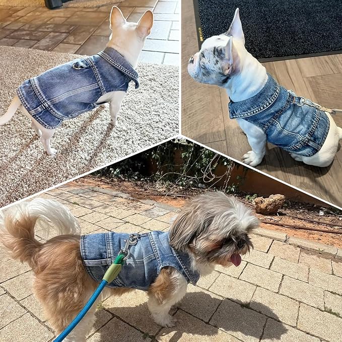 Puppy Clothes for Small Dogs Boy,Classic Western Denim Dog Coat,Dog Jeans Jacket with Leash D-Ring,Pet Cat Costumes,Cooling Harness Vest for Walking (Blue, Large)