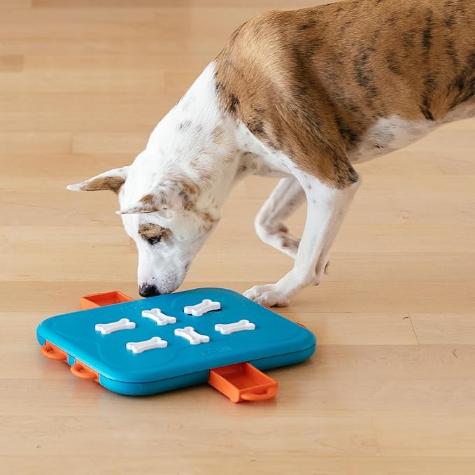 Outward Hound by Nina Ottosson Dog Casino Treat Puzzle Enrichment Toy, Level 3 Advanced, Turquoise