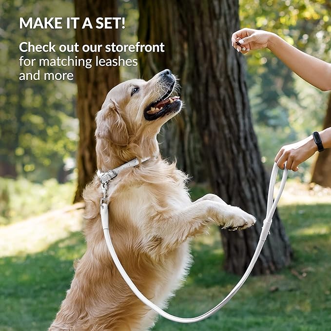 CollarDirect Rolled Leather Dog Collar, Soft Padded Round Puppy Collar, Handmade Genuine Leather Collar Dog Small Large Cat Collars 13 Colors (15-19 Inch, White Smooth)