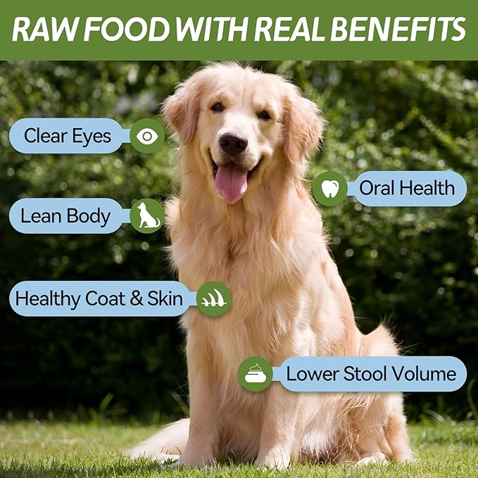 OPET Freeze Dried Duck Cat Treats, Single Ingredient Grain Free High Protein Pet Food for Cats and Dogs, Healthy Training Snacks,Freeze Dried Duck Breast Sliced Fillets (Duck Breast, 5.92 Ounce)
