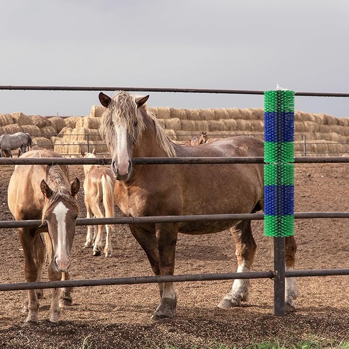 Livestock Scratching Brush, 17.5 x 7.8 Inch Goat Brushes for Grooming, Horse Brushes for Shedding, Livestock Brush with 4 Screws Great for Horse, Elk, Cattle, Pig, Sheep(Green)