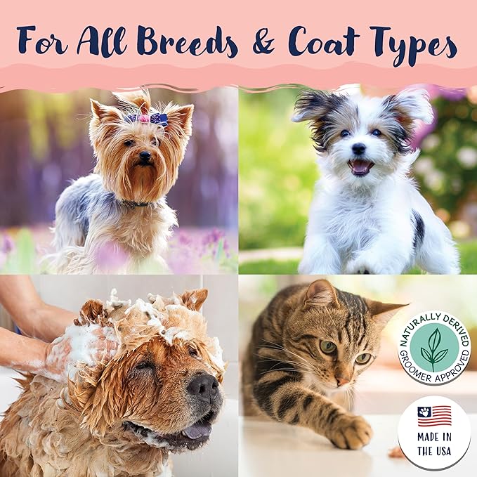 Bobbi Panter Dog Shampoo - Made in USA - All Natural Formula for Whitening All Coats, Enhances Shine & Moiturizes - Concentrated 20:1 for Professional Groomers - Peach Scent, 13 Oz (Case of 12)