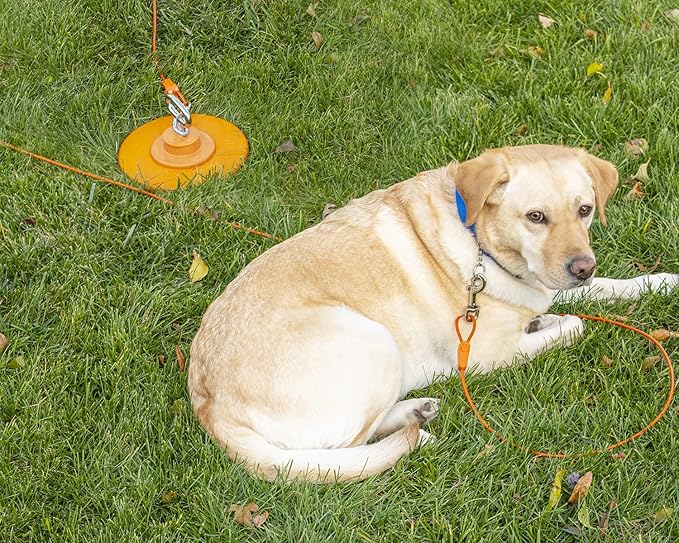 20FT Tie-Out Cables for Dogs - Strong, Safe, and Durable Dog Tie-Outs for Small Dogs up to 35 Pounds - Weather and Wear Resistant Galvanized Aircraft Cable for Outside Use