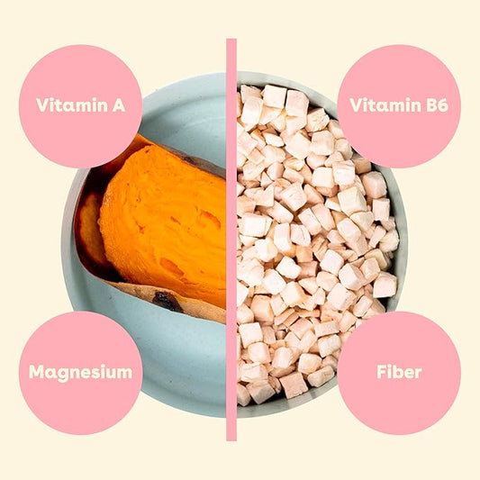 How to Choose the Right Dog Food