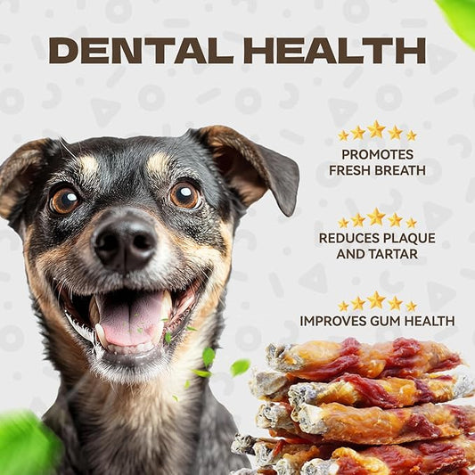 The Importance of Pet Dental Care