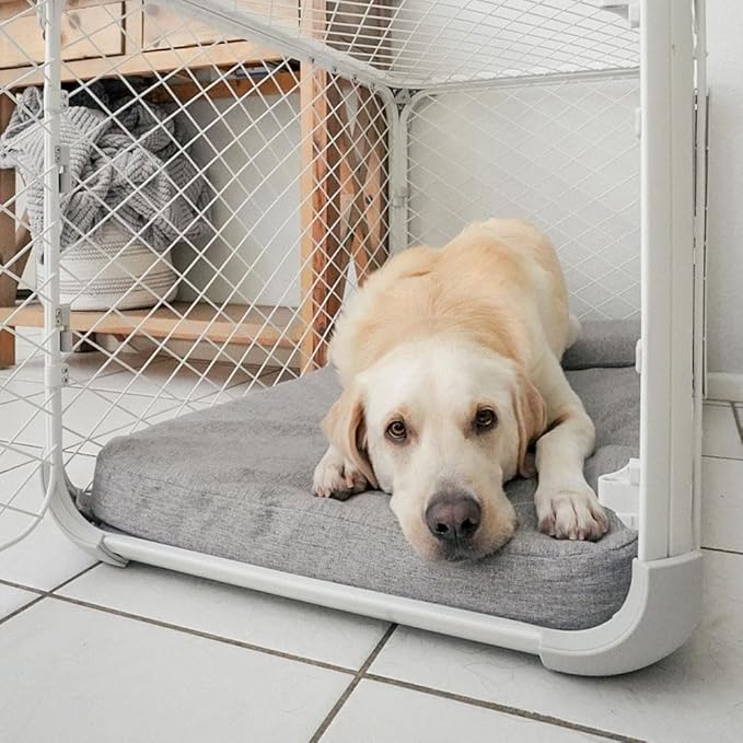 Summer Heat Management for Pets