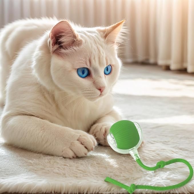 Top 5 Toys Cats Absolutely Love